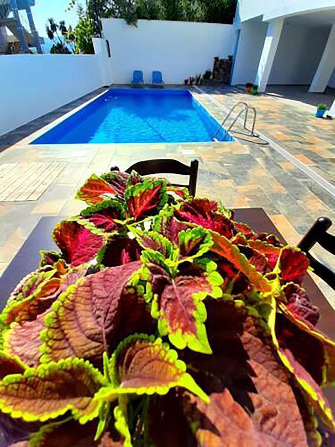 Hotel Seadel Εξαμίλιο Εξωτερικό φωτογραφία